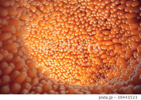 3D illustration close-up Intestinal villi 39443523