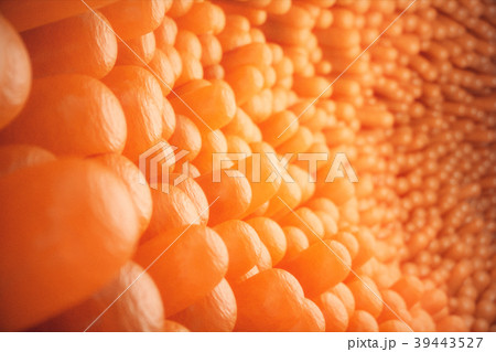 3D illustration close-up Intestinal villi 39443527
