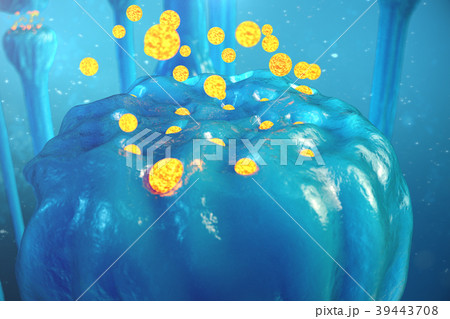 Synaptic transmission, human nervous system. Brain Synaptic transmission, human nervous system. Brain 39443708