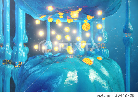 Synaptic transmission, human nervous system. Brain Synaptic transmission, human nervous system. Brain 39443709