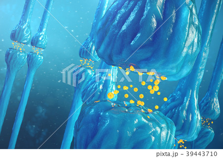 Synaptic transmission, human nervous system. Brain Synaptic transmission, human nervous system. Brain 39443710