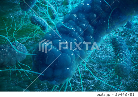 3D illustration Enterobacterias. Gram negativas 39443781