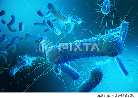 Enterobacterias Gram negativas Proteobacteria Enterobacterias Gram negativas Proteobacteria 39443806