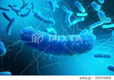 3D rendering Enterobacterias. Gram negativas 39443808