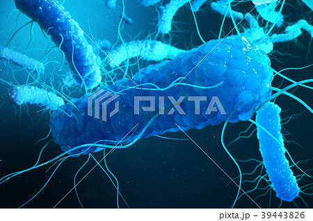 3D illustration Enterobacterias. Gram negativas 39443826