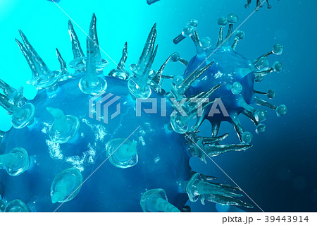 Viral hepatitis infection causing chronic liver Viral hepatitis infection causing chronic liver 39443914