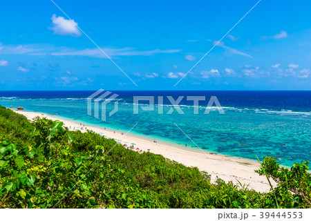 吉野海岸 39444553