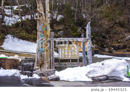 しらび平駅 39445325