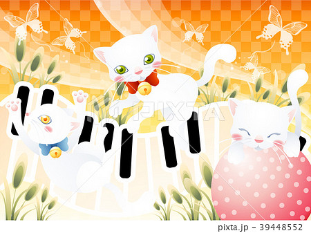 演奏 楽器 猫 39448552