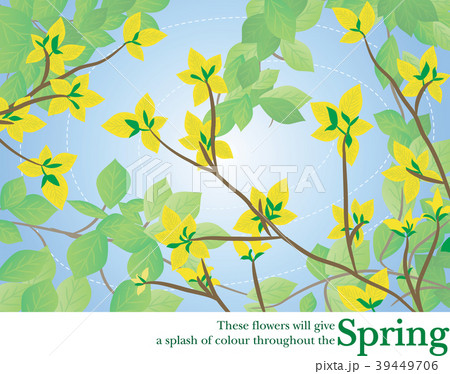 葉 木の葉 イラストのイラスト素材