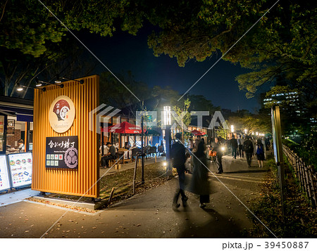 名古屋城下東門エリア　金シャチ横丁　宗春ゾーンの賑わい　　夜景 39450887