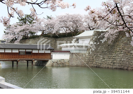 福井城址の桜 39451144