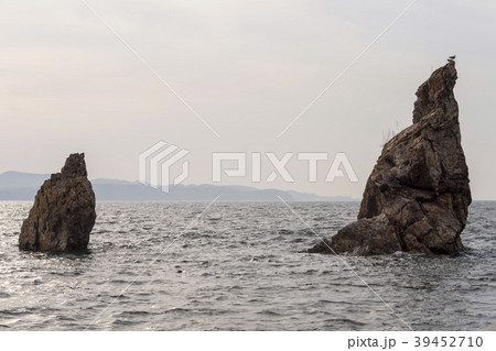 岩 石 グー 39452710