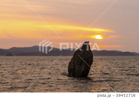 岩 石 グー 39452716