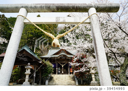 十二所神社 十二所神社 39454993