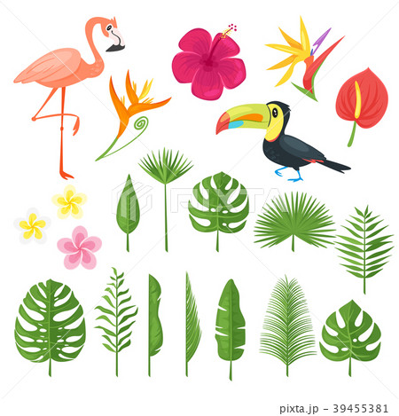 set of elements for summer 39455381