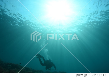 水中から見た太陽とダイバーの写真素材