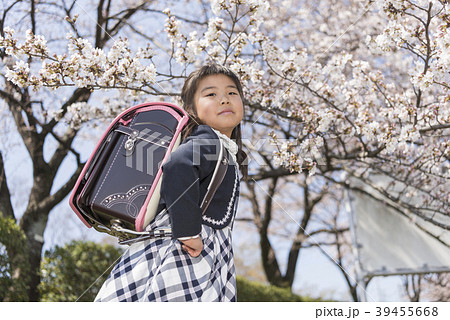 新一年生の女の子 桜背景 新一年生の女の子 桜背景 39455668