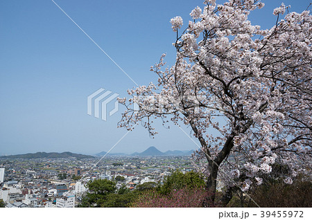 桜と町並み 遠方に飯野山 香川県琴平公園から撮影 の写真素材
