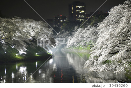 日本の東京都市景観 千鳥ヶ淵の桜・夜景 日本の東京都市景観 千鳥ヶ淵の桜・夜景 39456260