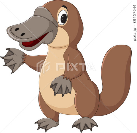 Cartoon platypus isolated on white background 39457644