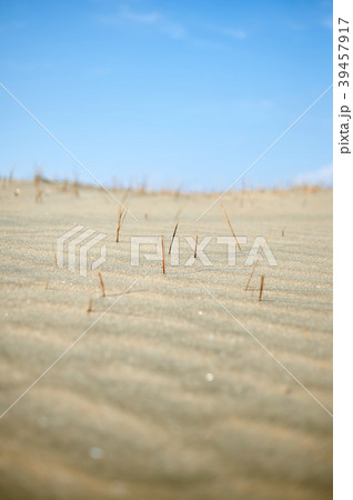砂 風景 結果 39457917