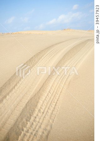 砂丘 風景 自国 39457923