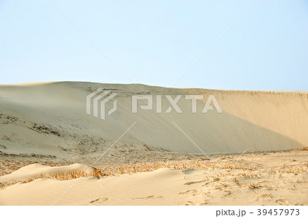 泰安郡 シンドゥ砂丘 砂丘 39457973