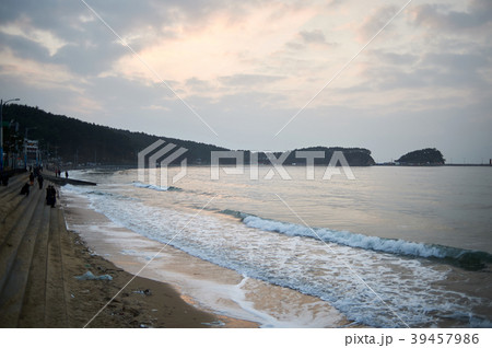 ビーチ 海 泰安郡 39457986