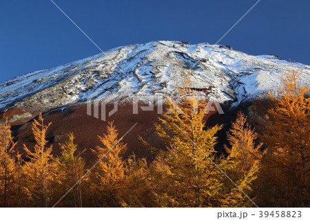すばるラインからの富士山頂 すばるラインからの富士山頂 39458823