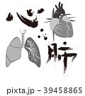 心臓・肺・漢字 手書きイメージ 39458865