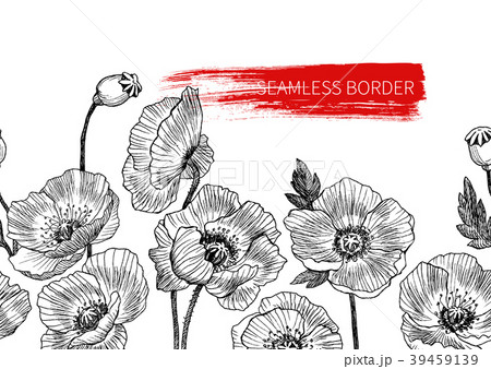 Seamless border poppy flowers drawn and sketch 39459139