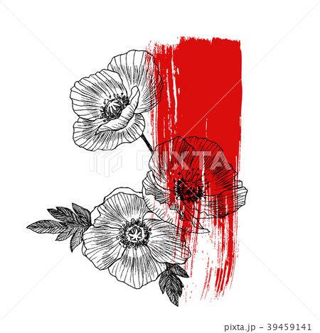 California poppy flowers drawn and sketch with 39459141
