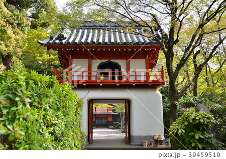 桃巌寺　不老門 39459510