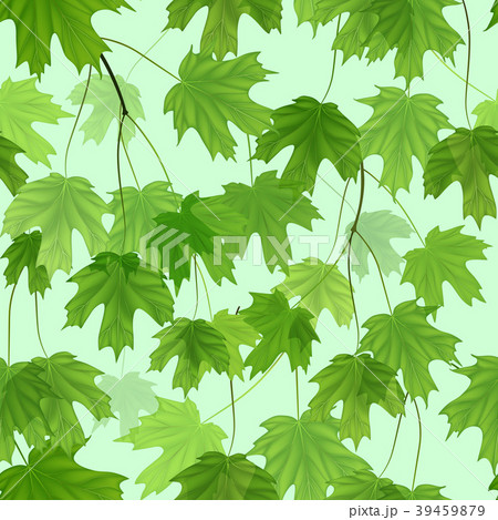 seamless pattern with green leaves. Vector. seamless pattern with green leaves. Vector. 39459879
