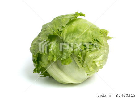レタス 39460315