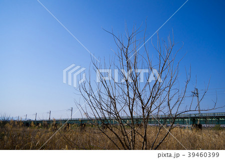 青空の下の枯れ木と鉄橋 JR川越線入間川橋梁 b 広角 青空の下の枯れ木と鉄橋 JR川越線入間川橋梁 b 広角 39460399