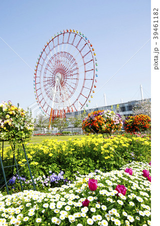 大観覧車　お台場　東京 39461182