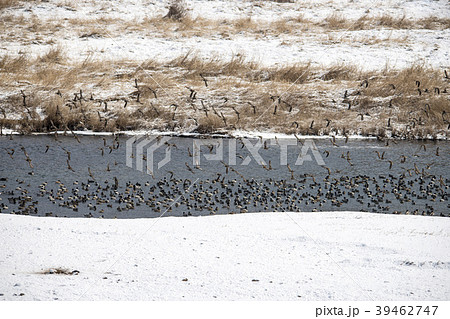 鉄原郡 江原道 自然 39462747