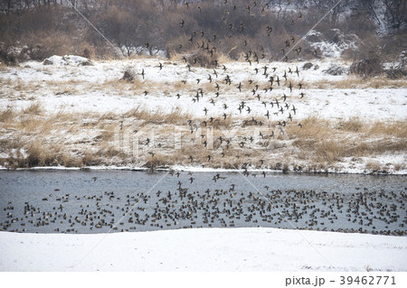 鉄原郡 江原道 自然 39462771