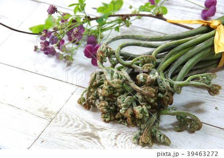蕨(山菜)とアケビの花 蕨(山菜)とアケビの花 39463272