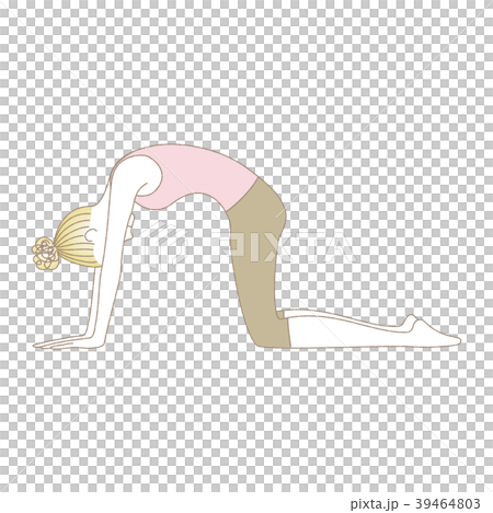 Young woman doing yoga cat pose Young woman doing yoga cat pose 39464803