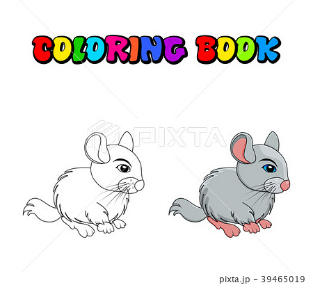 Cartoon chinchilla coloring book  isolated  39465019