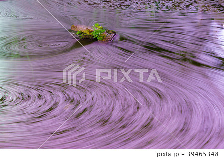 桜渦 39465348