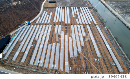 ビニールハウス 川 河 39465438