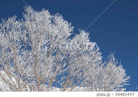 輝く粗氷 39465457