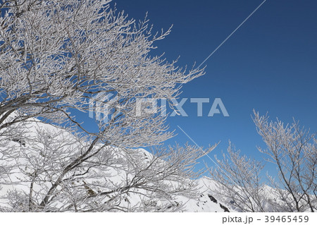 粗氷と雪山 粗氷と雪山 39465459