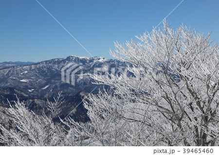 樹氷 樹氷 39465460
