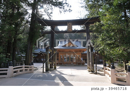 穂高神社　正殿前 39465718