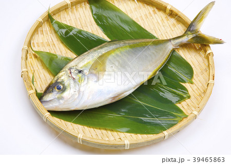 しまあじ 食材 しまあじ 食材 39465863